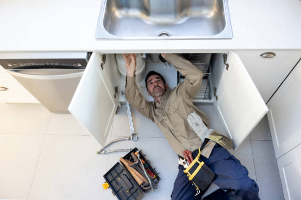 Best Same-Day Plumbing Service  in Forrest, IL