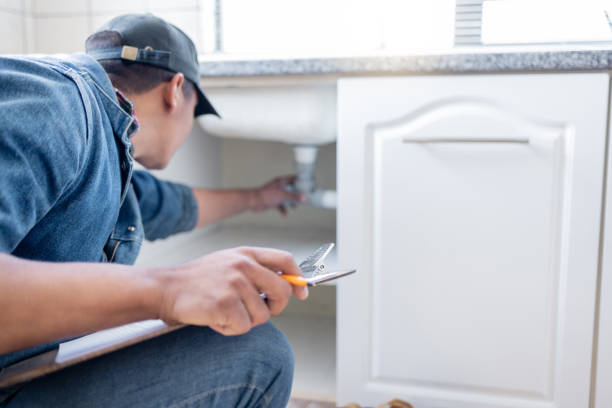 Best Plumbing Inspection Services  in Forrest, IL