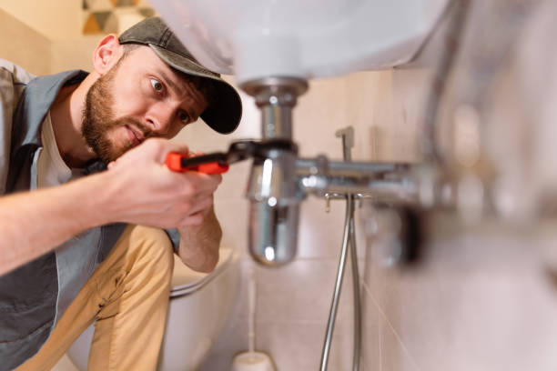 Best Clogged Drain Plumber  in Forrest, IL