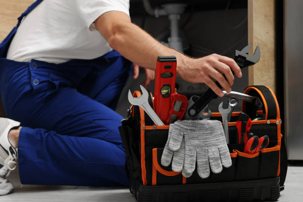 Best Plumbing Installation Services  in Forrest, IL