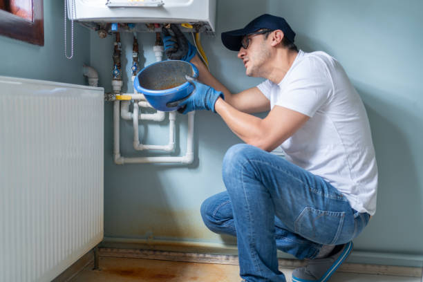 Best Water Heater Repair  in Forrest, IL